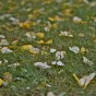 DSC_5925 DSC_5925
