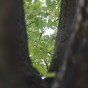 DSC_5942 DSC_5942