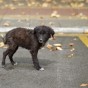 DSC_5959 DSC_5959