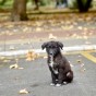 DSC_5960 DSC_5960