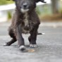 DSC_5963 DSC_5963
