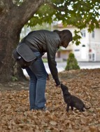 DSC_5965 DSC_5965