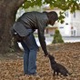 DSC_5965 DSC_5965